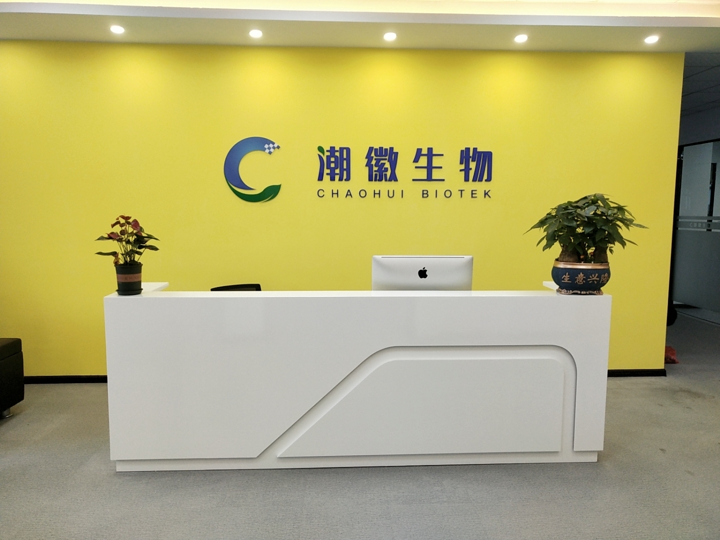 开云网页版-开云中国
净化